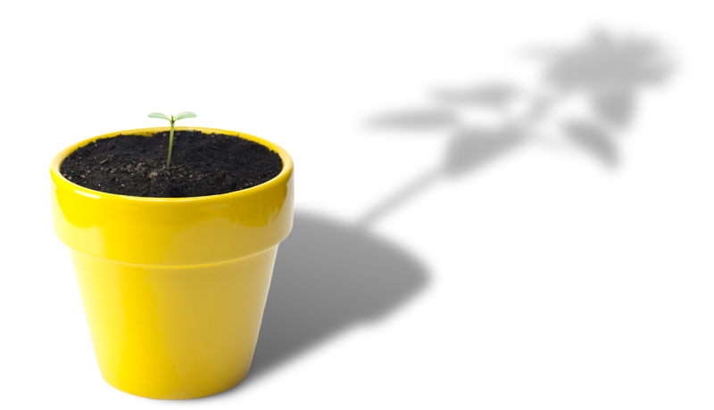 Bringing Institutional Standards to Funeral Trust Investment Strategies, Advice and Implementation